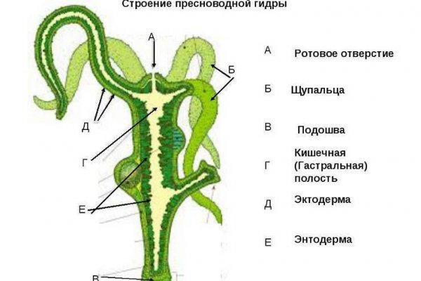 Что за кракен маркет